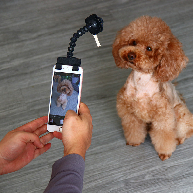 Pet Selfie Stick - Capture the Perfect Pet Moments