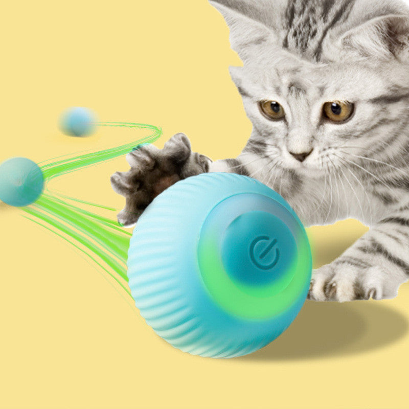 PetPal PlaySphere - Playful Fun for Your Furry Friends